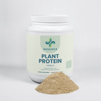 Plant Protein (Vanilla)
